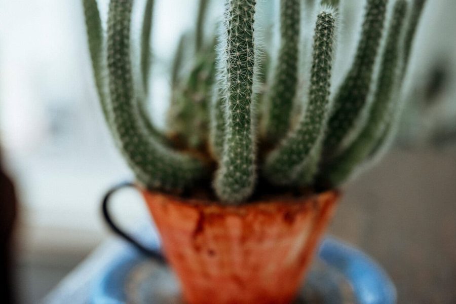 CrazyLittleThingPhotography. GavinvanhaghtPhotography-55